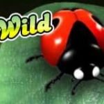 Wild-Symbol vom gratis Online-Slot Wild Berry
