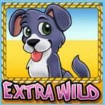 Extra-Wild-Symbol von Pampa Treasures Online Slot-Spiel