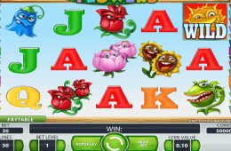 Kostenloser Online Spielautomat Flowers