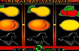 Online-Casino-Spielautomat Black Horse