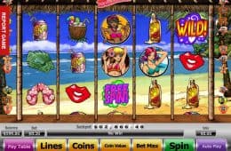 Bild des Online-Casino Automatenspiels Bikini Beach