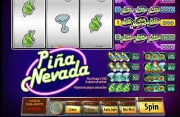 Bild vom Spiel Pina Nevada Online-Slot