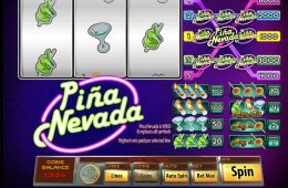 Imagen del juego online Pina Nevada