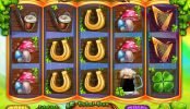 Picture from casino game Slots O'Gold