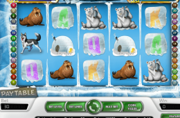 Kép az Icy Wonders ingyenes online nyerőgépről