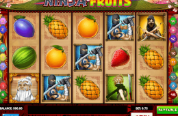 A Ninja Fruits nyerőgépes játék képe