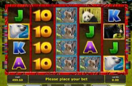 Online casino nyerőgép Bear Tracks