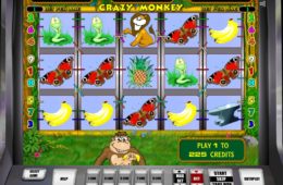 Casino játék Crazy Monkey online