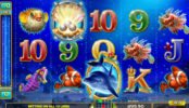 Wild Dolphin ingyenes online casino játékgép