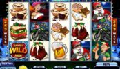 Darmowy automat do gier online Santa´s Wild Ride