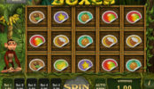 Gra hazardowa online Fruit Boxes (darmowa)