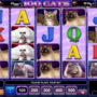 Obrazek z gry hazardowej 100 Cats online (nie wymaga depozytu)