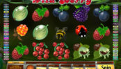 Obrazek z gry hazardowej Wild Berry