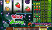 Zagraj na darmowej maszynie do gier Wild Berry 3-reel