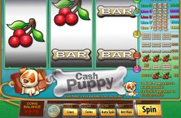 Darmowy automat do gier Cash Puppy. Bez depozytu