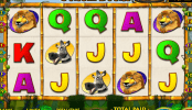 Poza jocului gratis online cu aparate Jungle Bucks