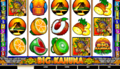Изображение игрового автомата Big Kahuna