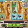 Бесплатный онлайн игровой автомат Wild Water