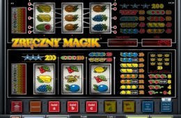 Zreczny Magik онлайн казино игровой автомат