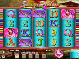 picture of slot Samurai Princess free online