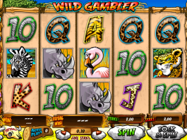 pic from free online slot Wild Gambler