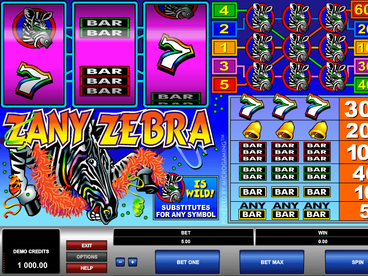 picture from free online slot Zany Zebra