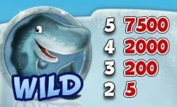 Wild from slot machine Icy Wonders for fun 