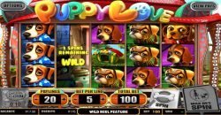 Casino slot machine no deposit Puppy Love 