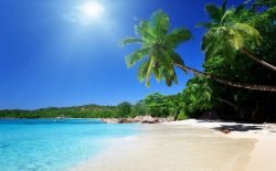 Caribic paradise