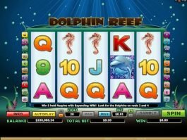 Slot Dolphin Reef online free