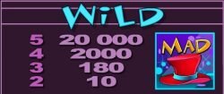 Wild of Mad Hatters casino free slot machine 