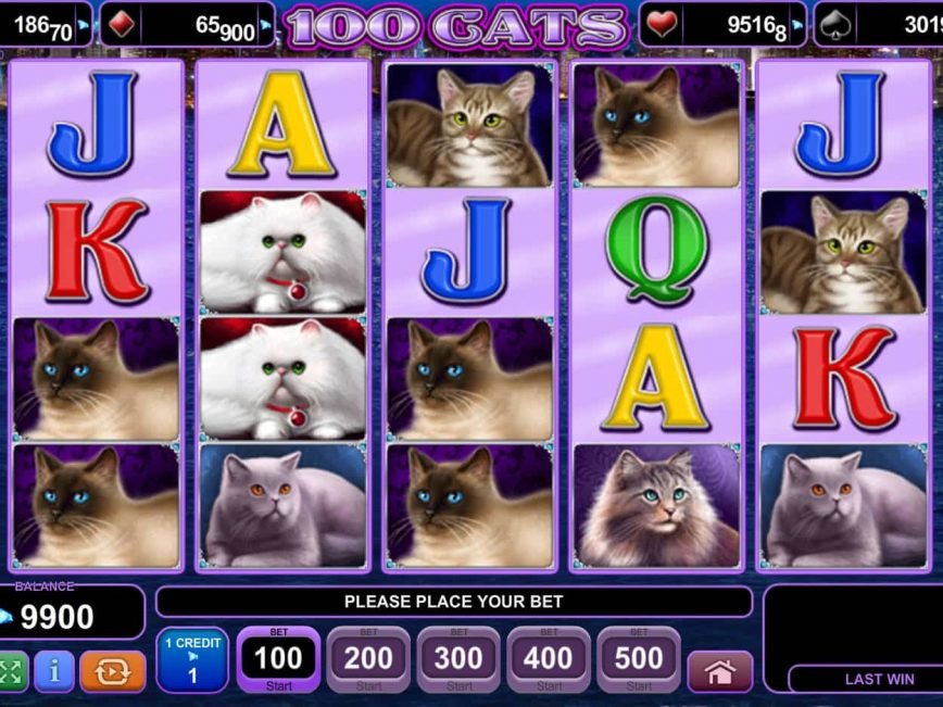 Picture from online slot game 100 Cats no deposit