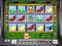 Casino game Crazy Monkey online