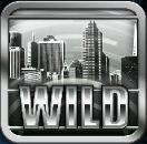 Wild symbol - free online slot Basic Instinct 