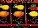 Online casino slot machine Black Horse