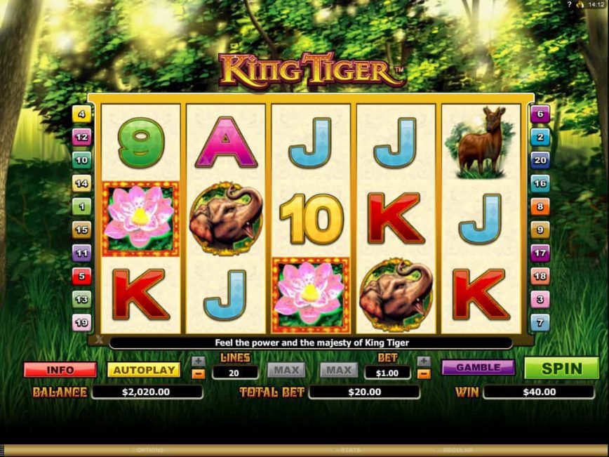 King Tiger Slot Machine