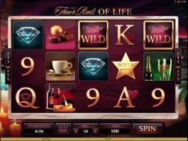 Play casino slot machine The Finer Reels of Life