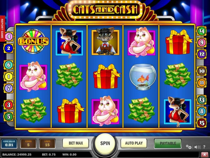 No registration game Cats and Cash online