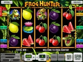 No download game Frog Hunter for free