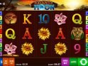 Picture from online slot game Savanna Moon