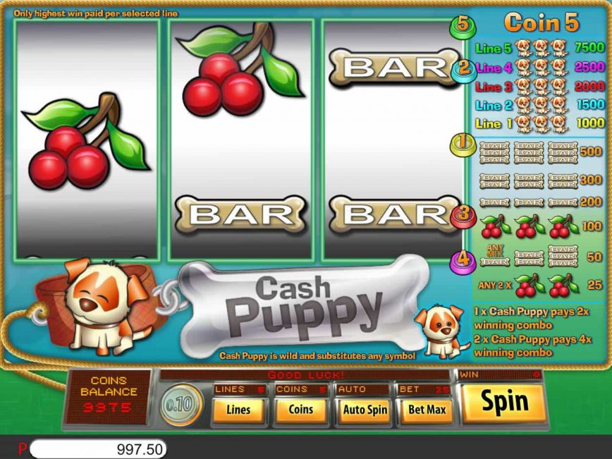 Free casino game Cash Puppy no deposit