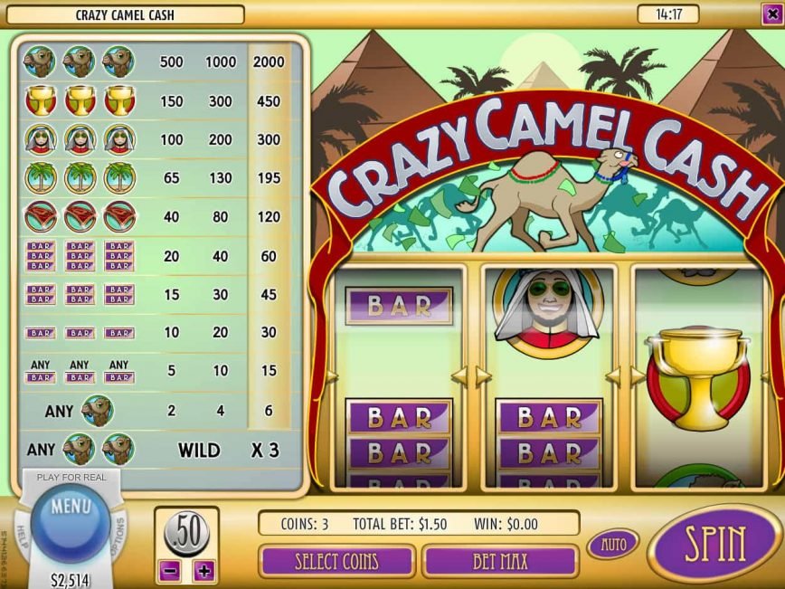 Crazy Camel Crash slot by Rival Gaming