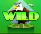 Wild symbol - Hole in Won slot by Rival Gaming 