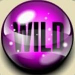 Wild-Symbol des Automatenspiels Bingo Slot von Pragmatic Play