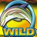 Wild symbol of Dolphin Gold online slot 