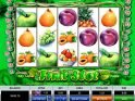No deposit game Fruit Slot online