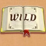 Wild symbol of Wizard of Gems online game 
