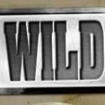 Symbol wild of Wild Fruits casino slot game 