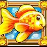 Symbol wild of Gold Fish casino free game 