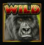 Wild symbol of Big Thunder free online slot game 
